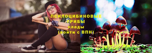 spice Беломорск