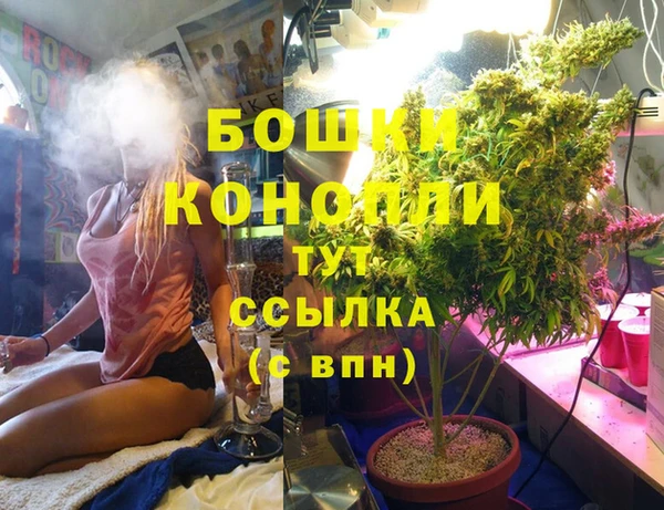 соль ск Белокуриха