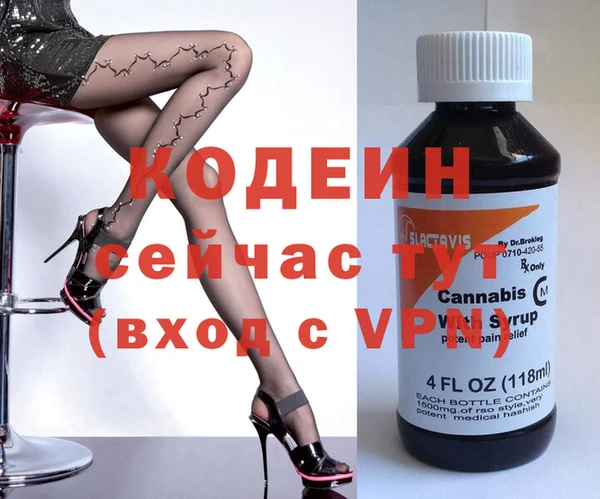 стаф Инта