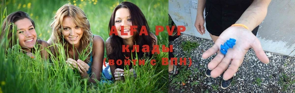 spice Беломорск