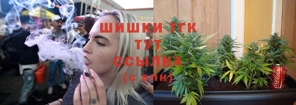 соль ск Белокуриха