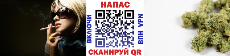 Канабис гибрид  Краснокамск 